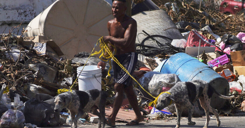 Cockroaches and Mountains of Trash Plague Acapulco After Hurricane